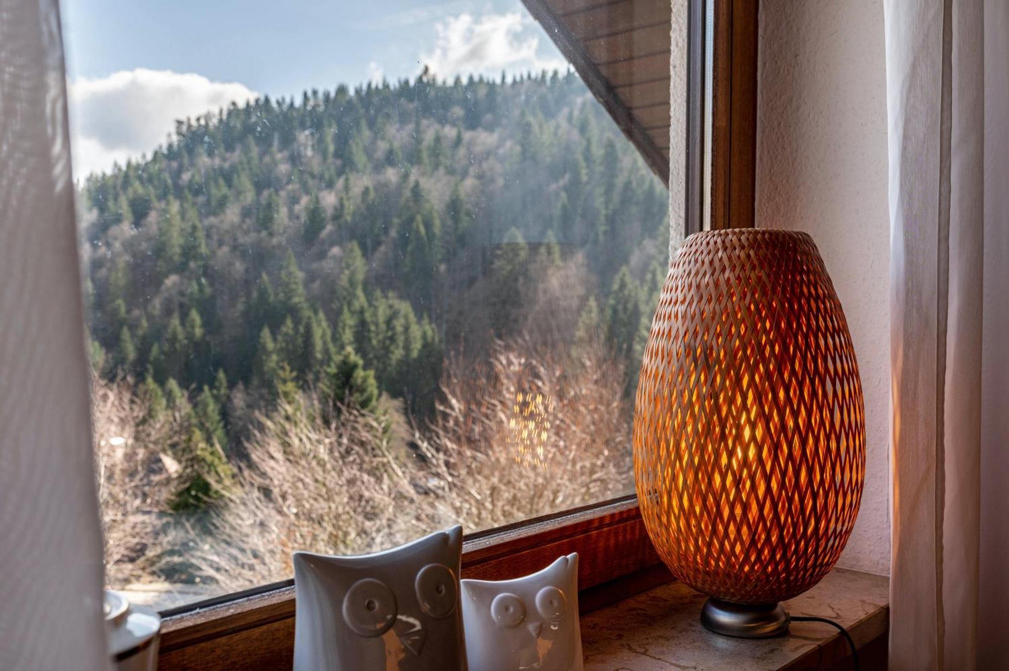 Haus Akelei Apartment Тодтмос Екстериор снимка