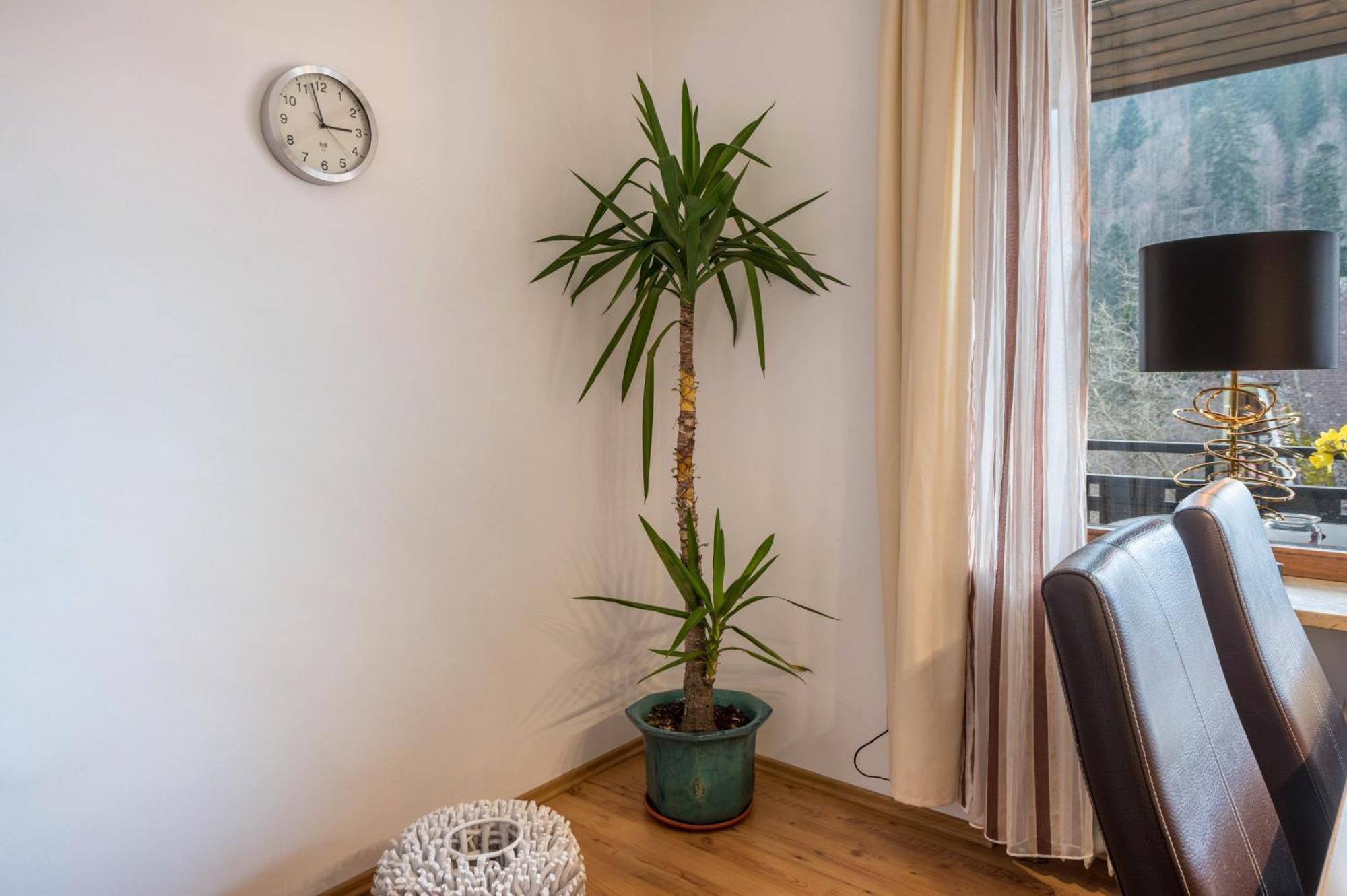 Haus Akelei Apartment Тодтмос Екстериор снимка